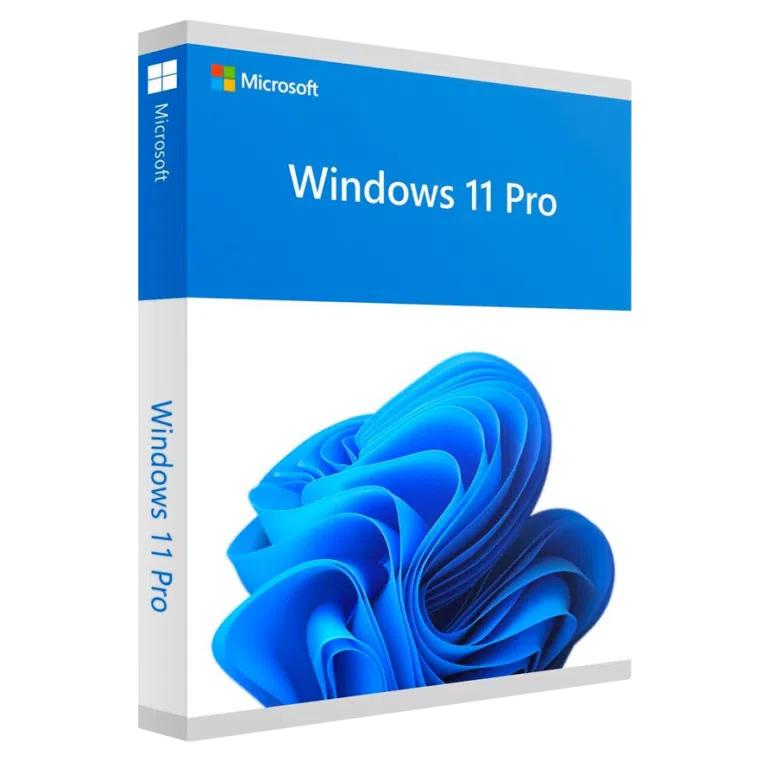 Microsoft Windows 11 Pro